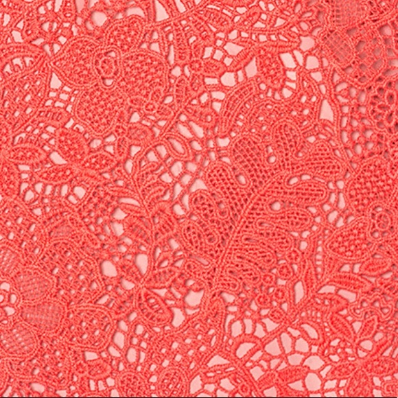 ⭐️⭐️POSHER PICK- Rebecca Taylor Arella Lace Dress in Ladybug⭐️⭐️ - Picture 5 of 6